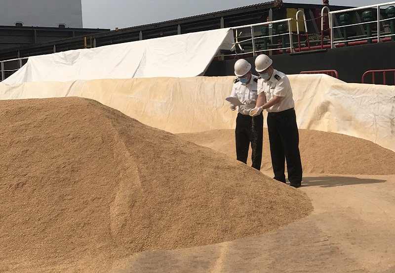 黄骅港海关精准帮扶助力企业完成首次豆粕出口（图）